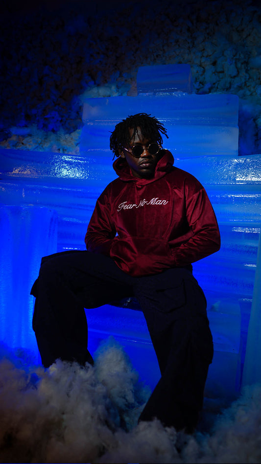 Red Wine Velvet Hoodie